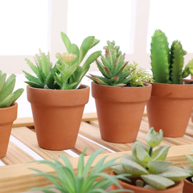 Durable 12-pack of Yishang pots for crafts and events.