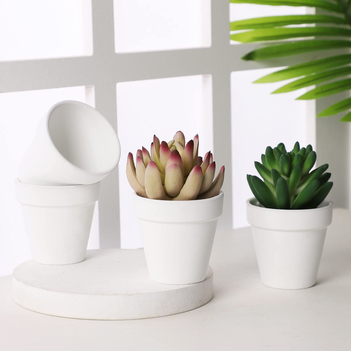 Yishang terracotta pot 12-pack packaging, convenient starter kit.