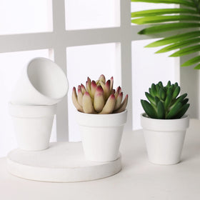 Yishang terracotta pot 12-pack packaging, convenient starter kit.