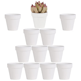 Yishang white terracotta pot front view, compact indoor plant option.