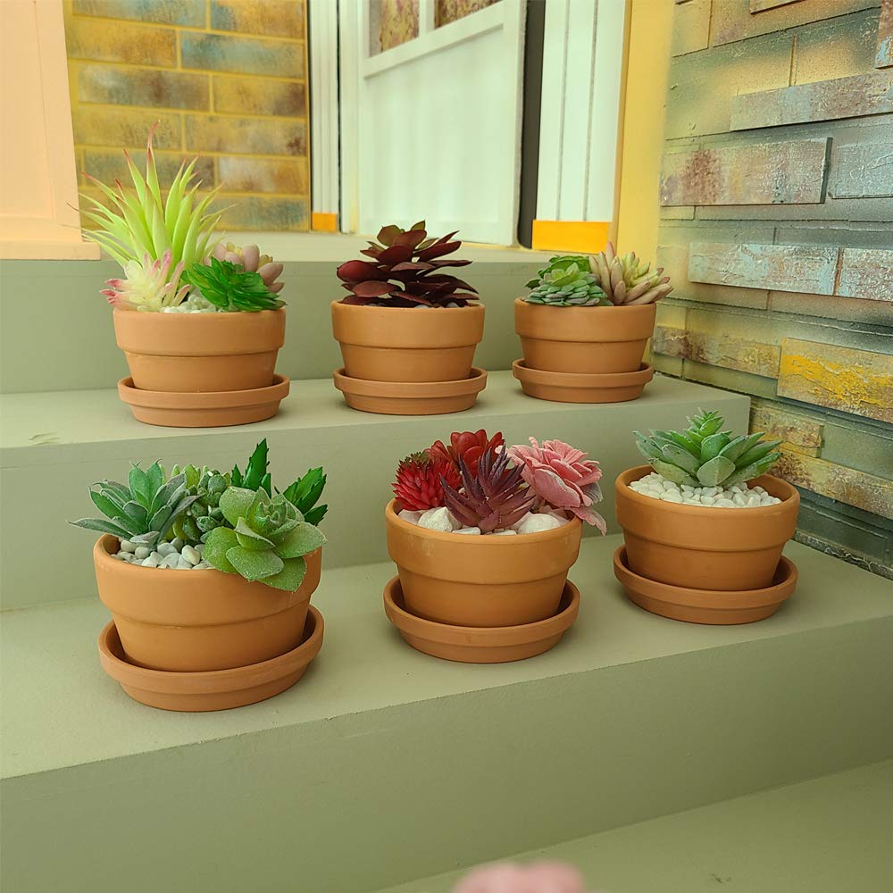 Yishang terracotta pot with succulents, showcasing compact indoor décor potential.