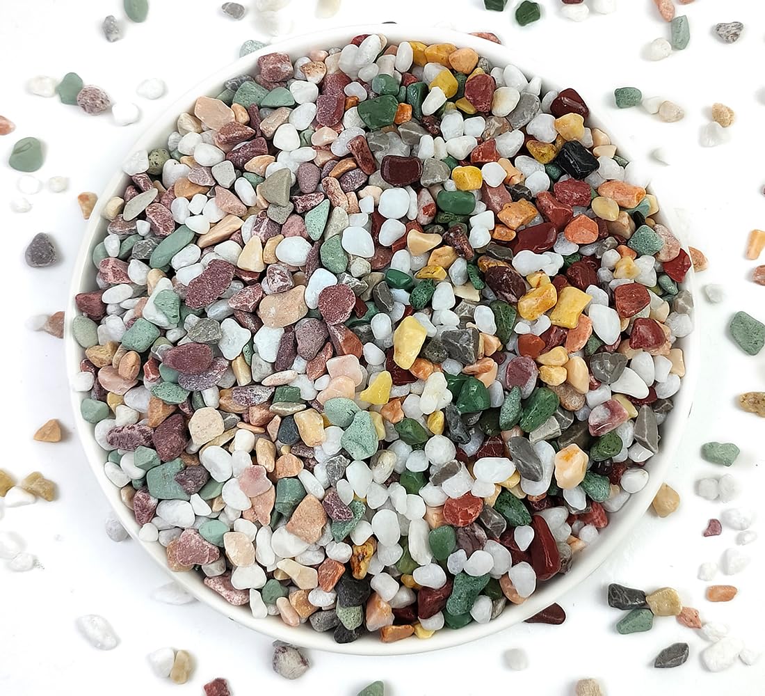YISZM 5 lb bag of succulent and cactus gravel pebbles for drainage and decoration.