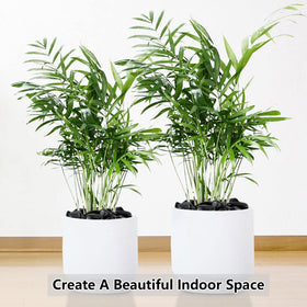 YISZM decorative rocks for vases and centerpieces offer versatile filler.