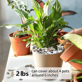 YISZM drainage gravel improves soil drainage for healthier container plants.