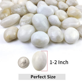 YISZM natural white pebbles 1-2 inch for planters, improving drainage and aesthetics