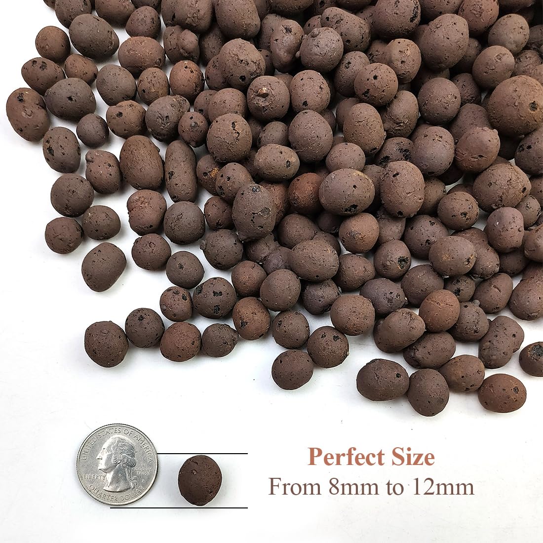 YISZM orchid potting LECA for stable moisture and healthy roots.