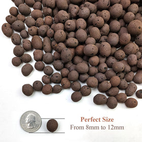 YISZM orchid potting LECA for stable moisture and healthy roots.