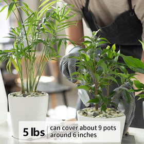 YISZM outdoor garden pebbles adding color and protection