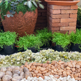 YISZM outdoor garden pebbles for walkways and landscaping with fade-resistant color.