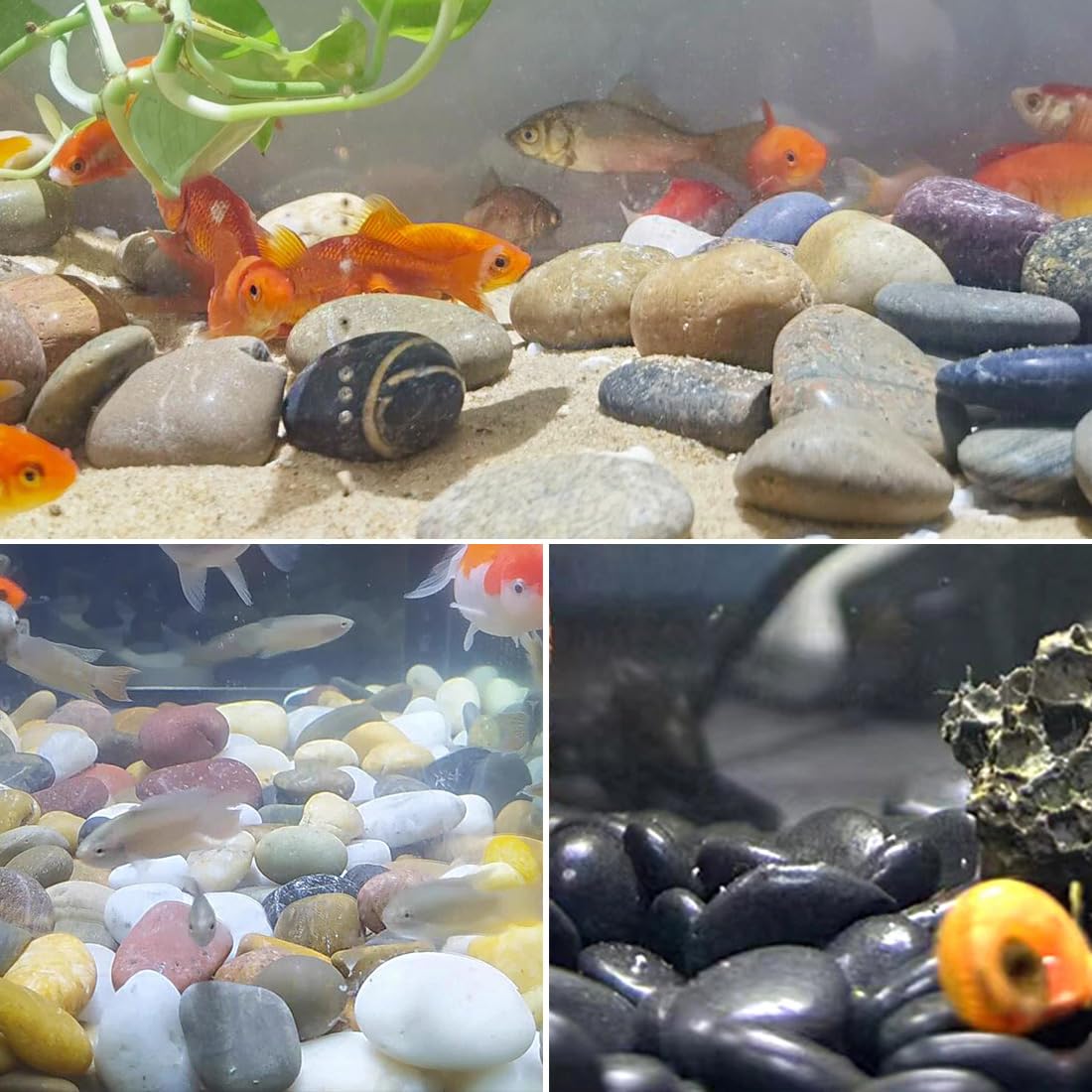 YISZM pebbles for water features and ponds create serene focal points.