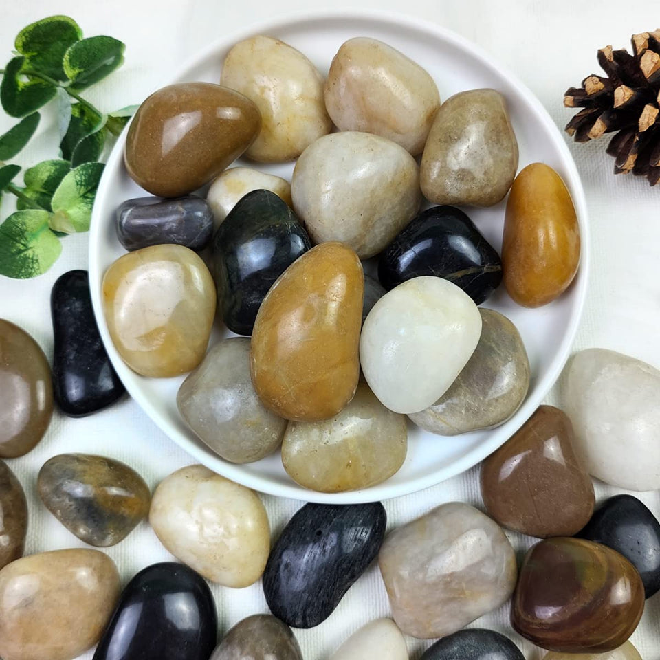 YISZM mixed-color pebbles, 1-2 inch, ideal for indoor plant accents.