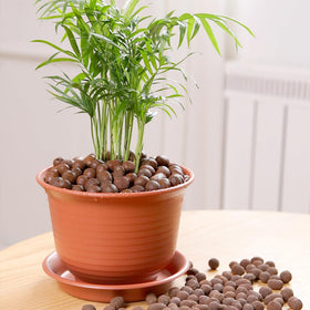 YISZM reusable LECA balls for eco-friendly gardening and long-term use.
