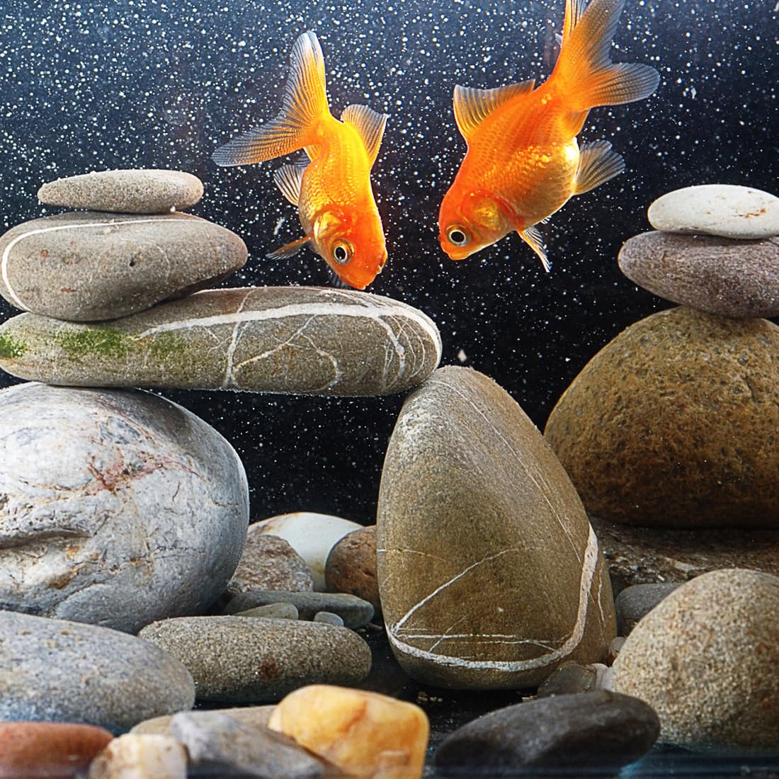 YISZM river rocks transform outdoor beds with varied color and texture.