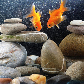 YISZM river rocks transform outdoor beds with varied color and texture.