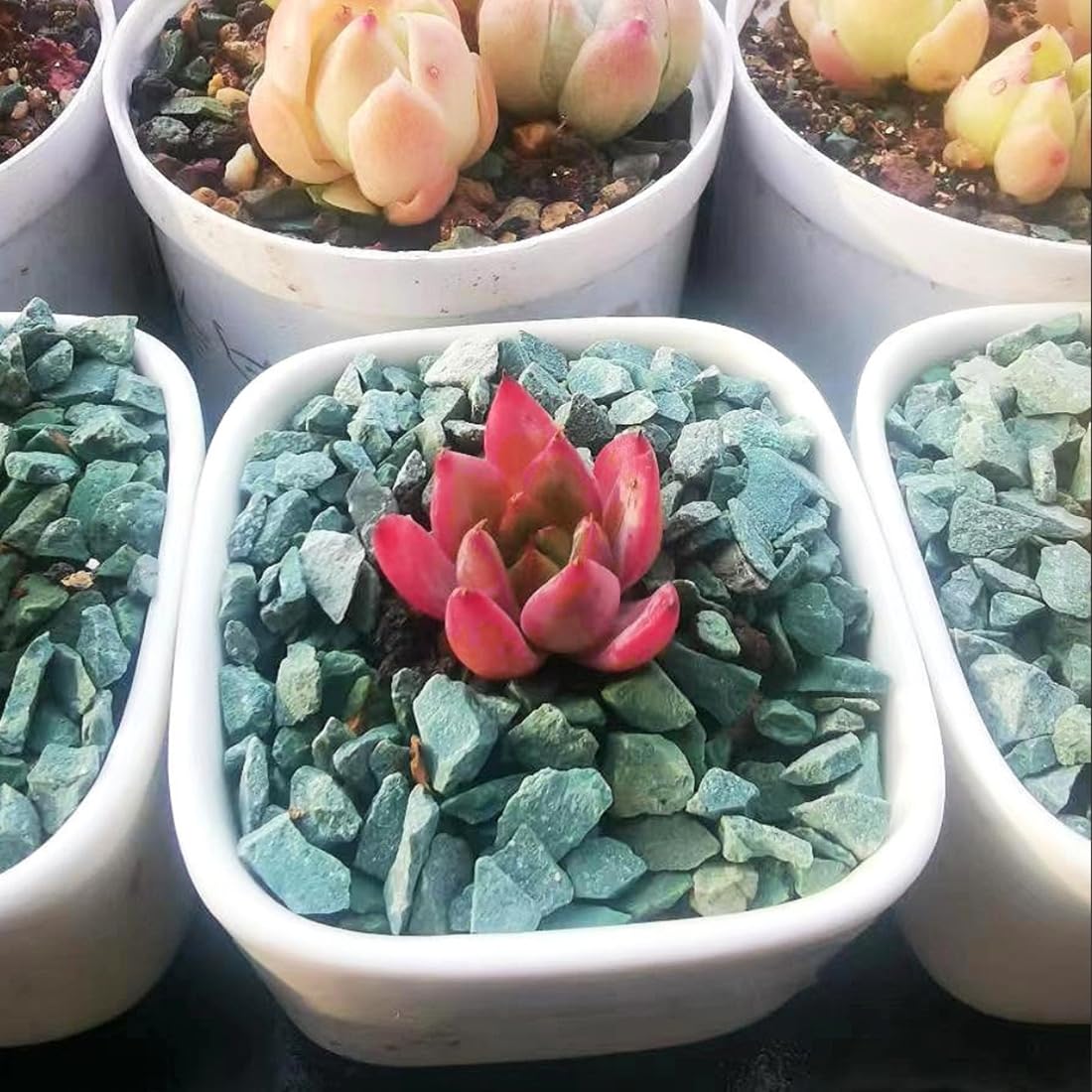 YISZM fairy garden pebbles create playful, vibrant displays.