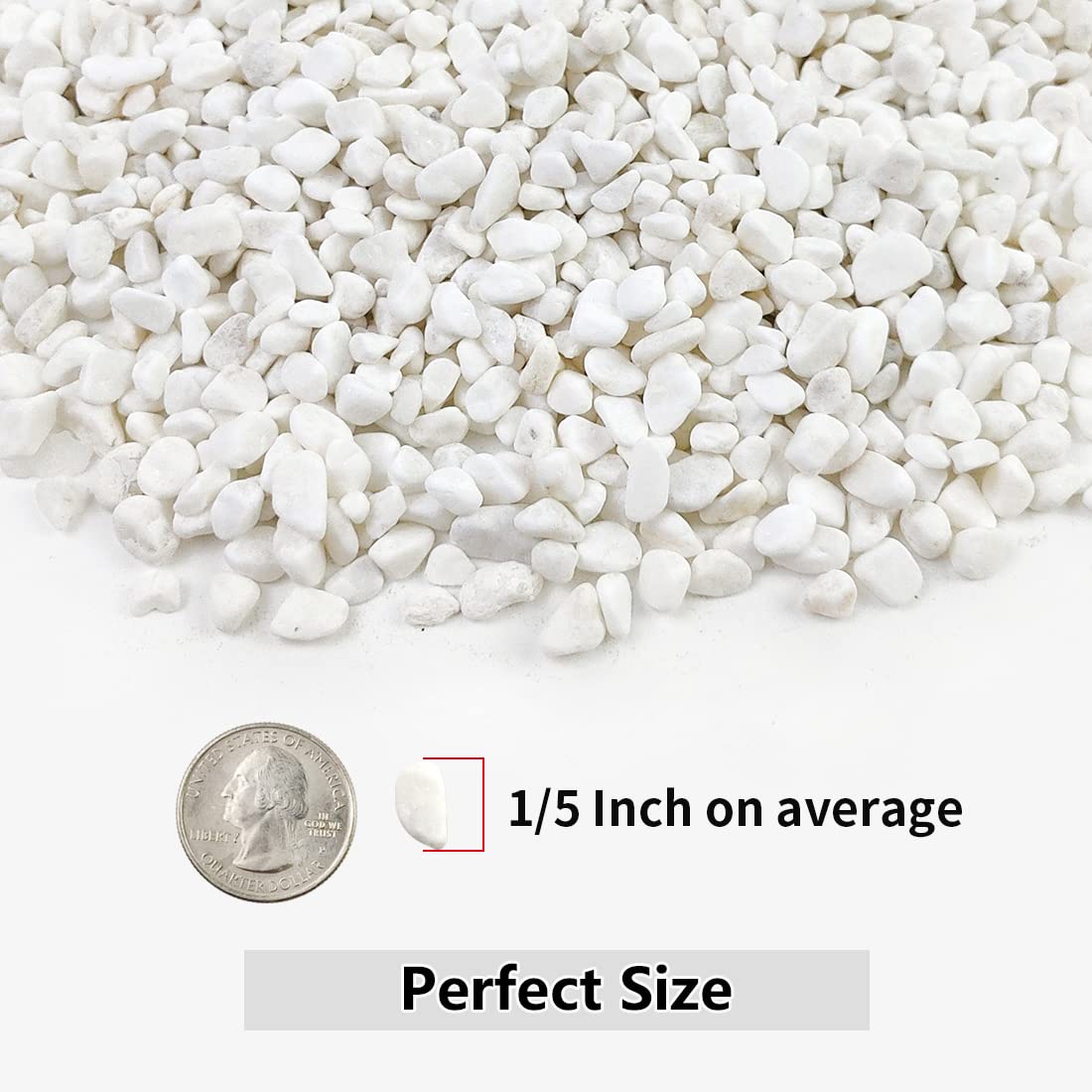 YISZM white decorative pebbles used in a vase and terrarium for contrast