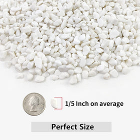 YISZM white decorative pebbles used in a vase and terrarium for contrast