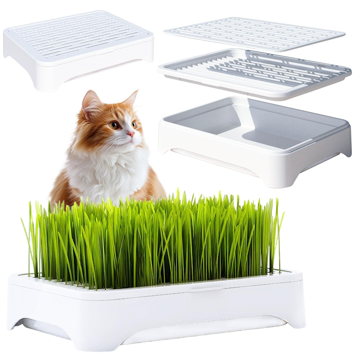 YjiaYjiaY cat grass planter tri-section front view supports tidy growth for pets.