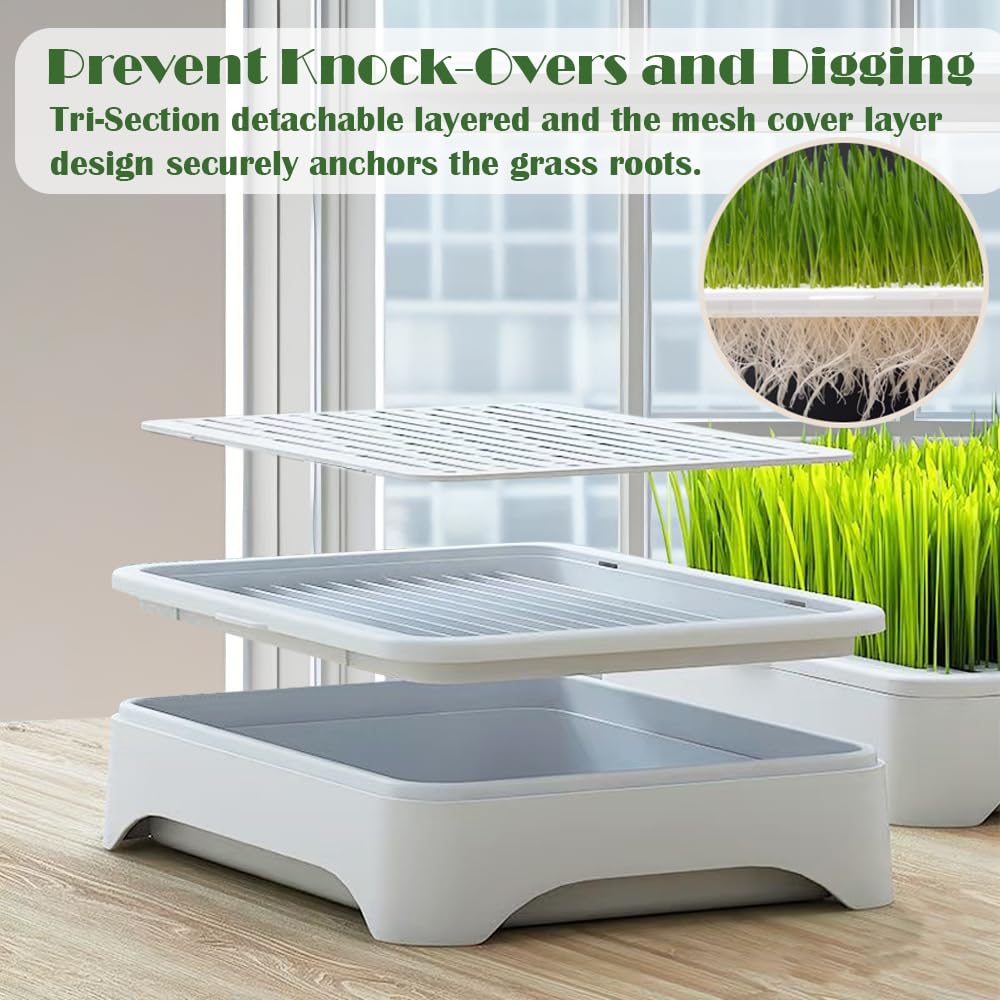 YjiaYjiaY detachable compartments for easy planting and cleaning.