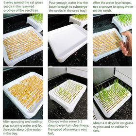 YjiaYjiaY mesh cover with anti-pull-out system secures roots during nibbling.