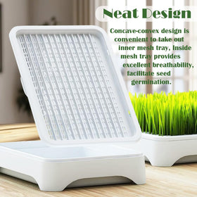 YjiaYjiaY seed tray and water base illustrating quick germination setup.