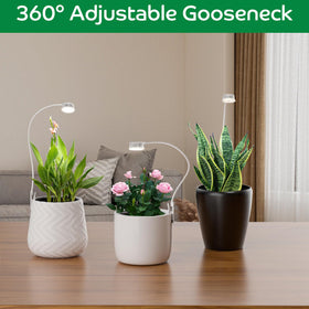YKoliron with timer activated ensures consistent daily plant care.