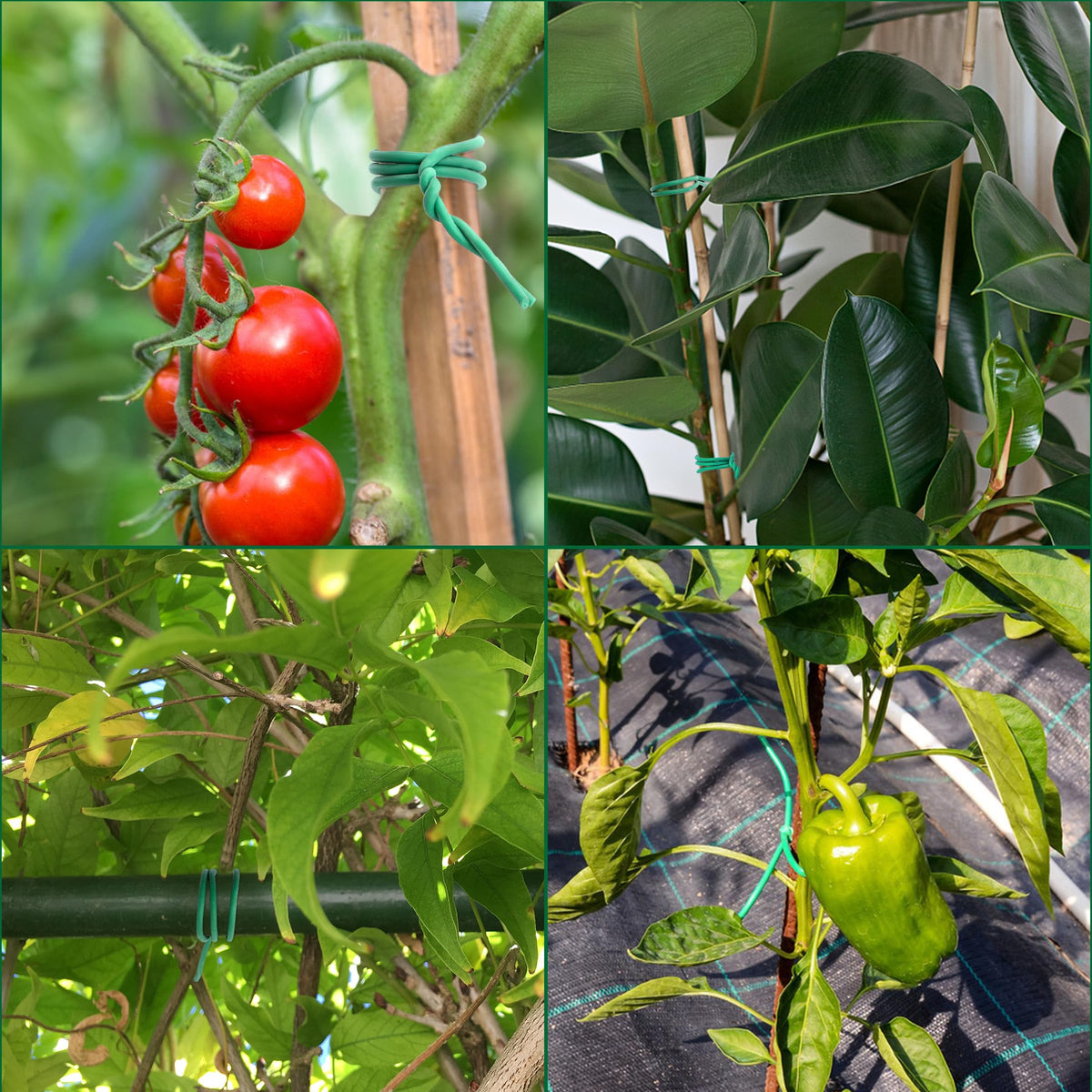 YMHB flexible garden tie with smooth rubber surface protects stems.