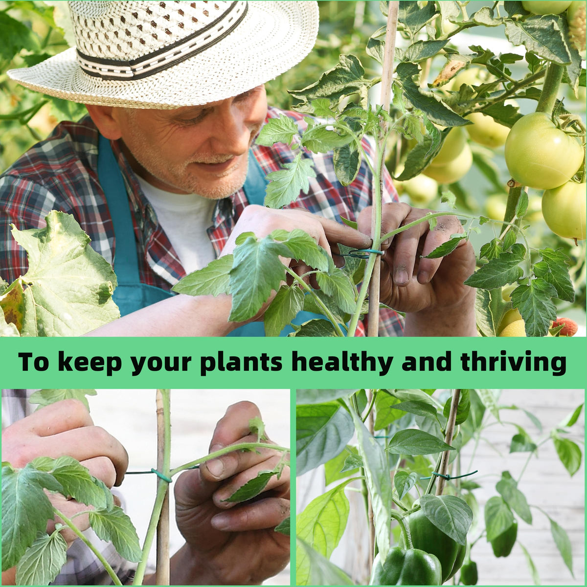 YMHB versatile garden ties for trees, vines, and indoor decor.
