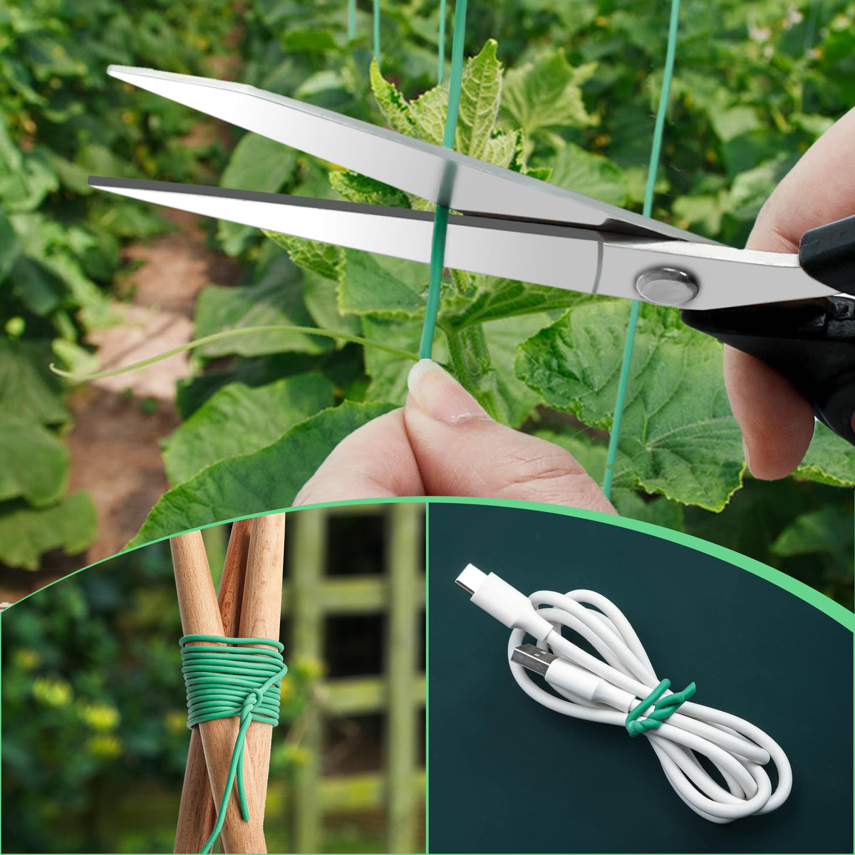 YMHB 2.5mm diameter garden tie ready to secure plants.