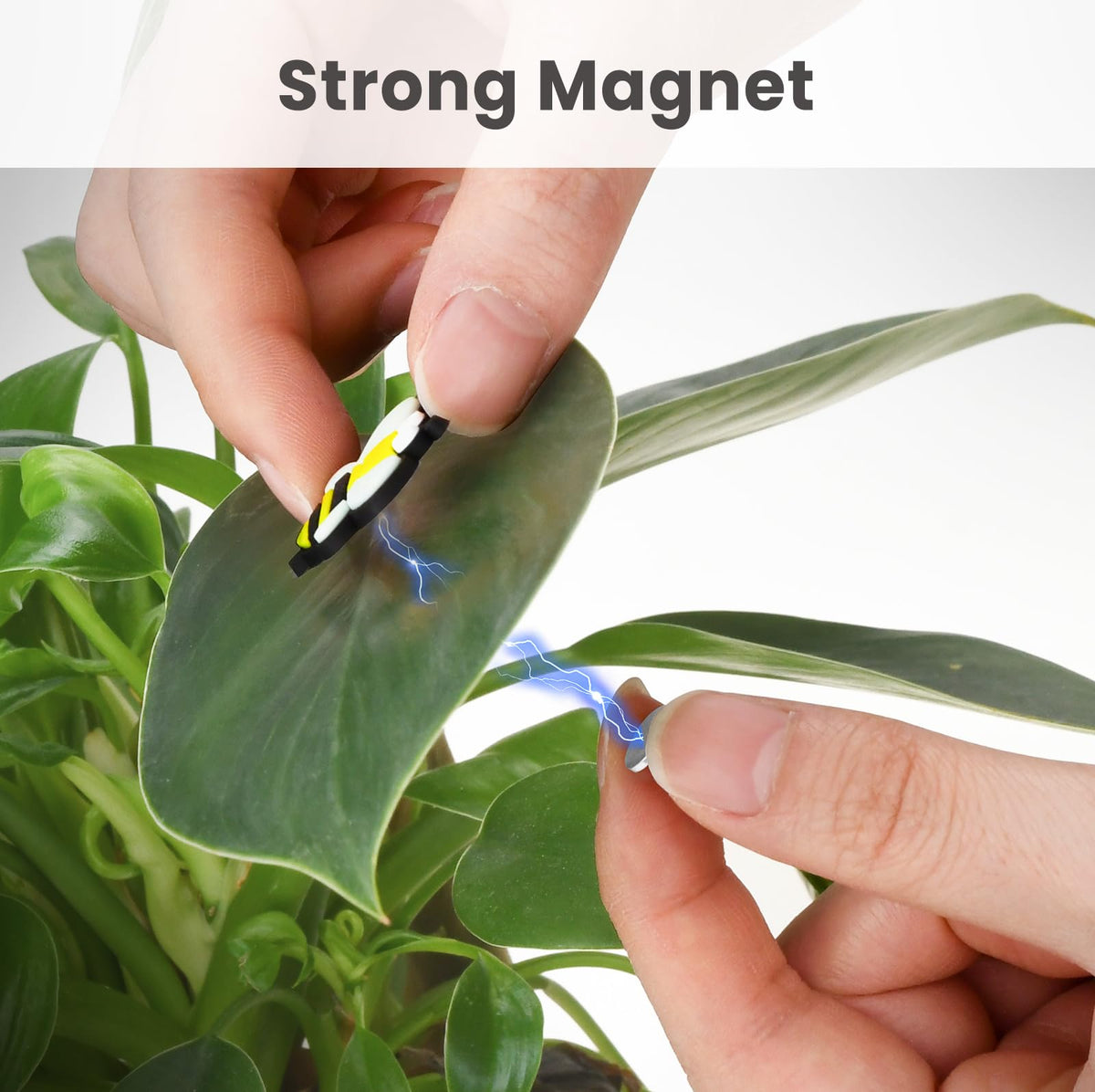 Yncotte plant magnets easy-to-attach keeps pots lively without tools.