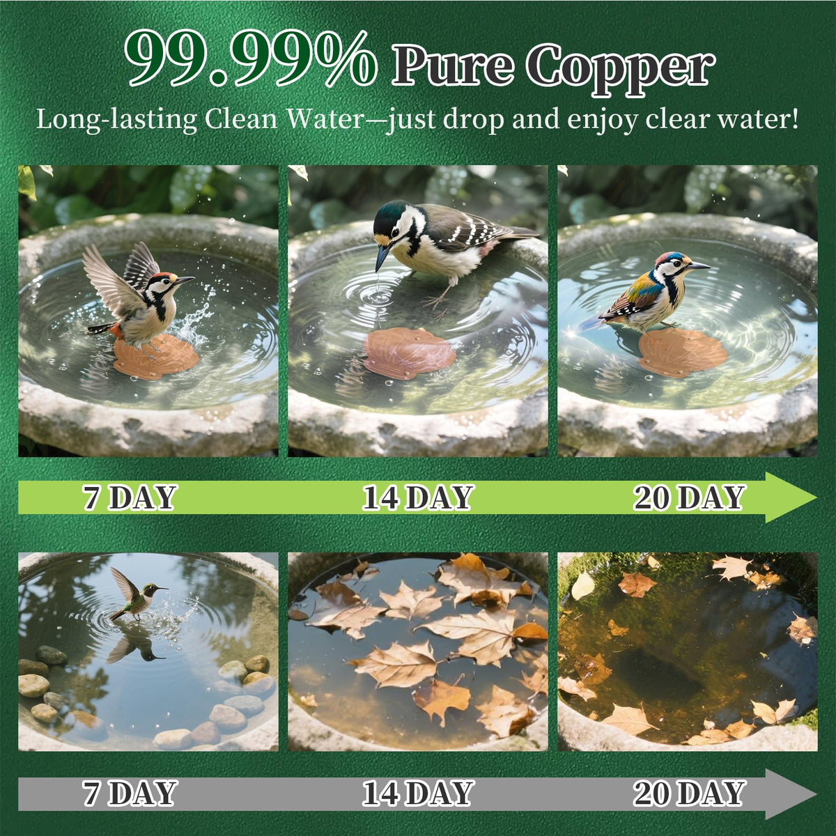 Yncotte triple point support design keeps the disk stable for full water contact.