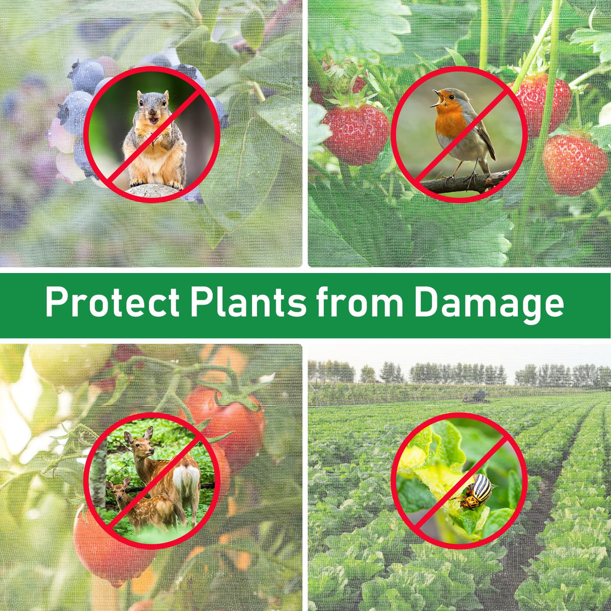 YNERHAI fruit tree netting shielding trees from pests