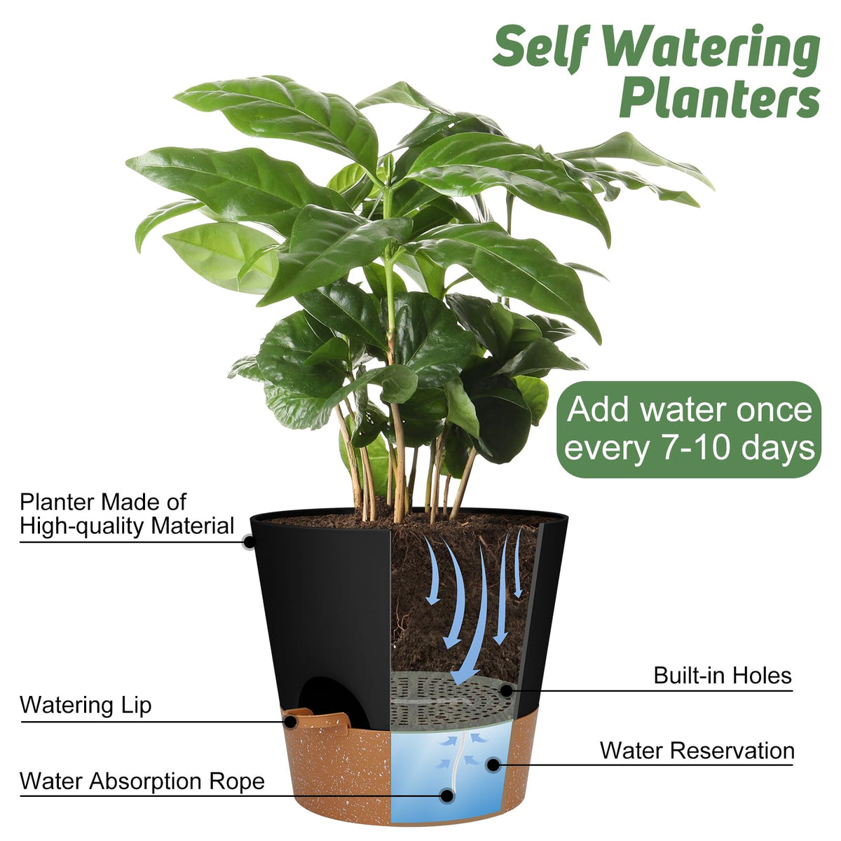 YNNICO 10-inch pot for indoor-outdoor use supports versatile setups.