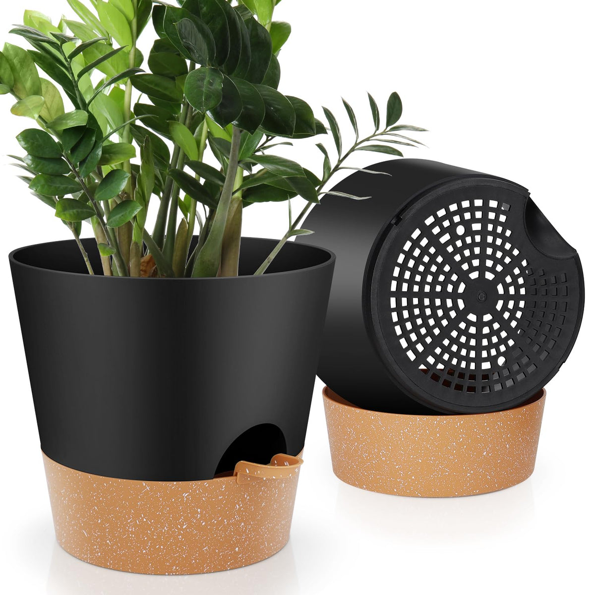YNNICO 10-inch pot with self-watering saucer keeps plants hydrated.