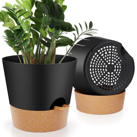 YNNICO 10-inch pot with self-watering saucer keeps plants hydrated.