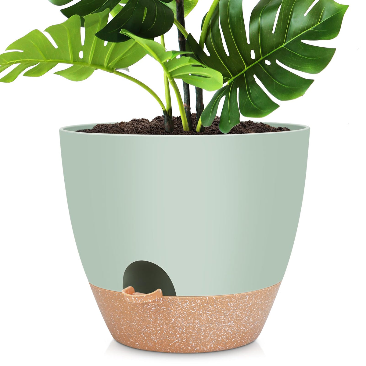 YNNICO 12-inch self-watering pot front view for indoor plant display