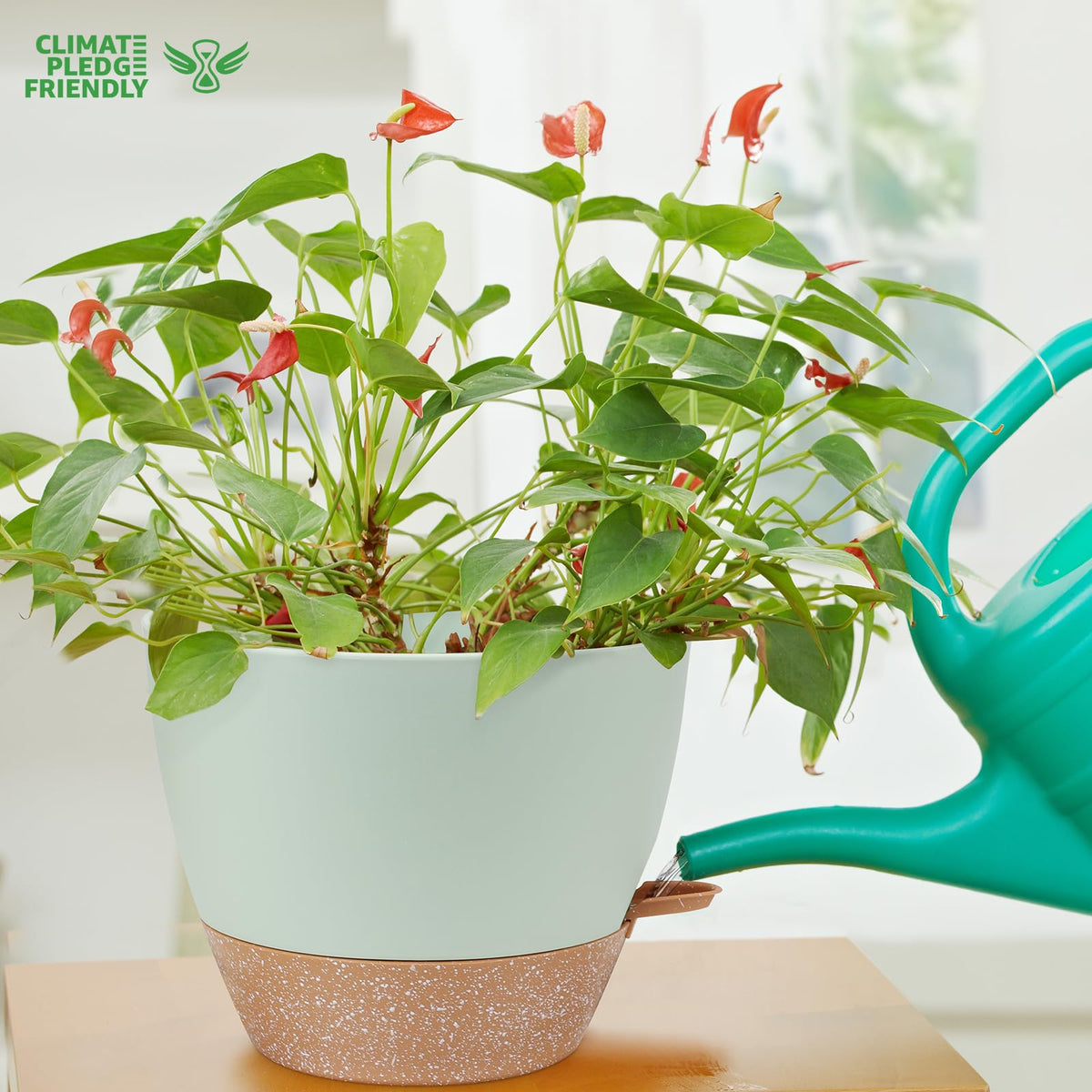 YNNICO modern planter design enhances decor on windowsills, desks, and shelves