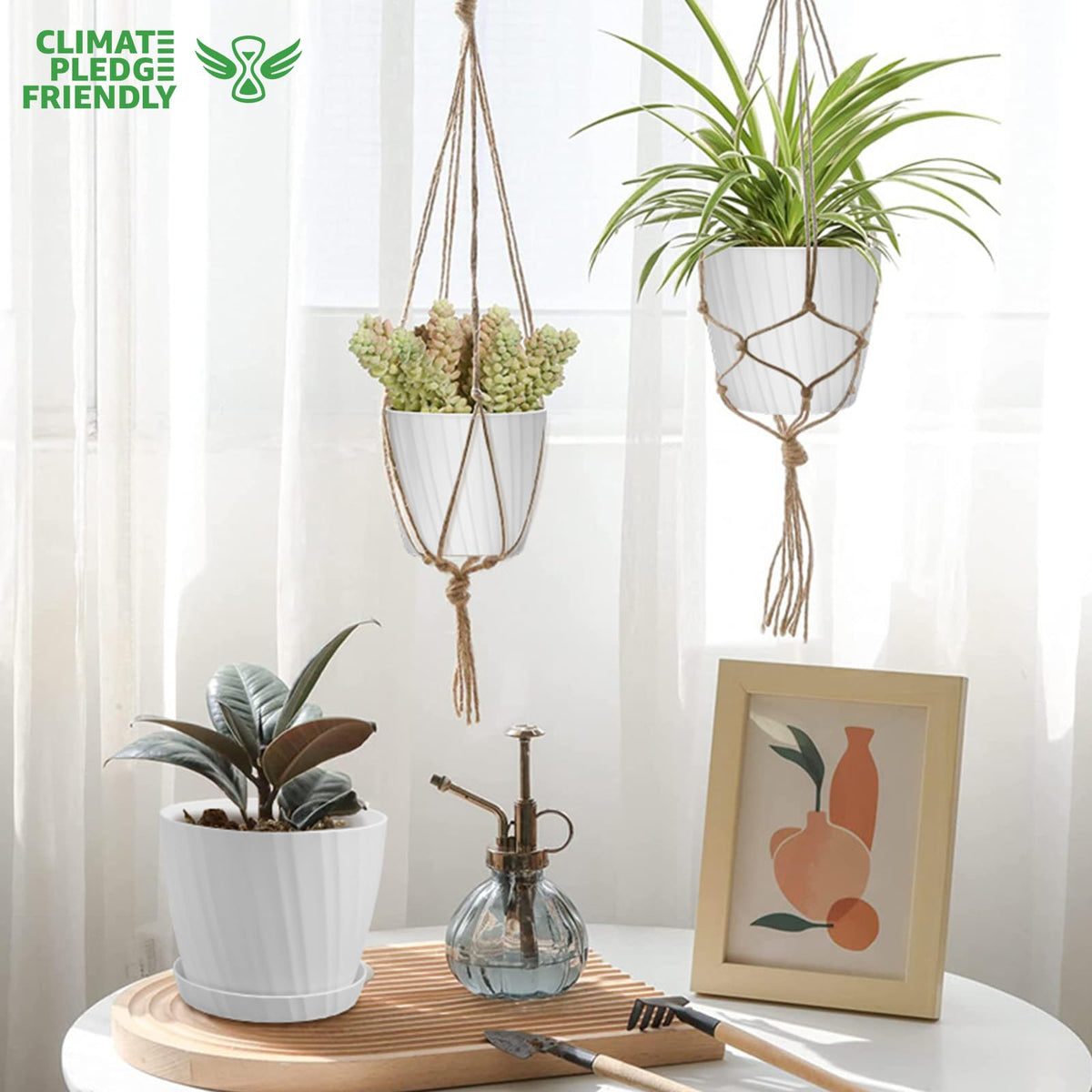 YNNICO 3.5-inch white planter for compact herbs and succulents with a saucer.