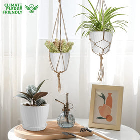 YNNICO 3.5-inch white planter for compact herbs and succulents with a saucer.