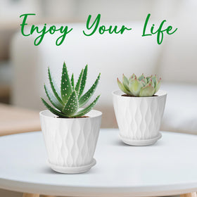 YNNICO 4-inch pot with snake plant example for compact display