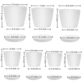 YNNICO 5.5-inch white planter ideal for small plants with proper airflow.