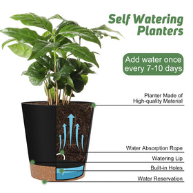 YNNICO 5dot5inch self watering planter for compact desks or shelves