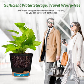 YNNICO 5 inch self watering planter with saucer for small plants
