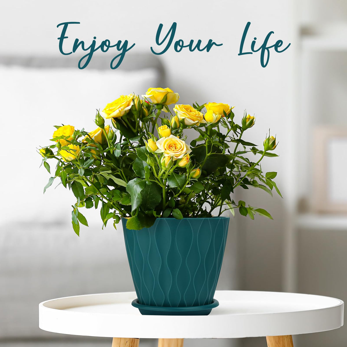 YNNICO 6-inch planter set ideal for succulents and foliage.