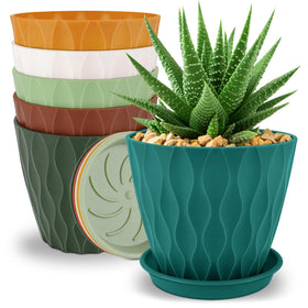 YNNICO 6-inch plant pots multicolor pack enhances indoor decor and versatile planting.