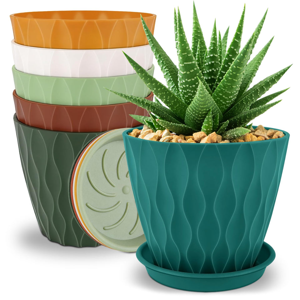 YNNICO 6-inch plant pots multicolor pack enhances indoor decor and versatile planting.