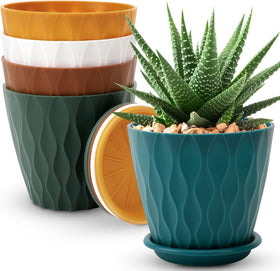 YNNICO 6-inch multicolor plant pot with drainage for healthy indoor plants.
