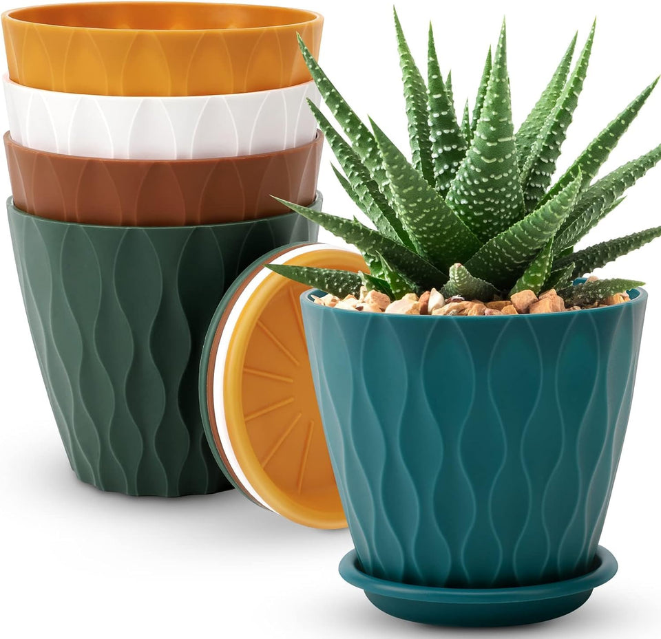 YNNICO 6-inch multicolor plant pot with drainage for healthy indoor plants.