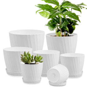 YNNICO 7.5-inch planter with drainage holes and saucer for tidy overflow management.