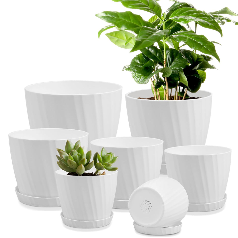 YNNICO 7.5-inch planter with drainage holes and saucer for tidy overflow management.
